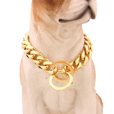 Gold Chain Jewelry Collar