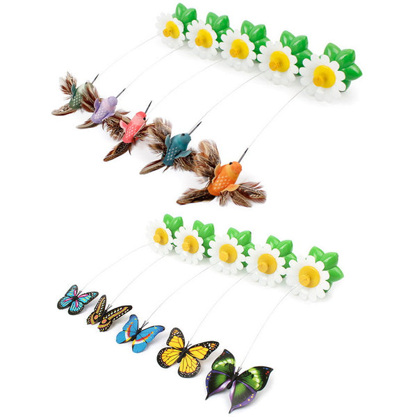 Electric Rotating Scratch Toy