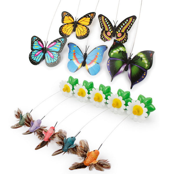 Electric Rotating Scratch Toy