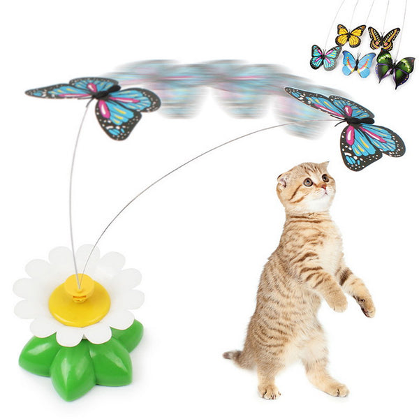 Electric Rotating Scratch Toy