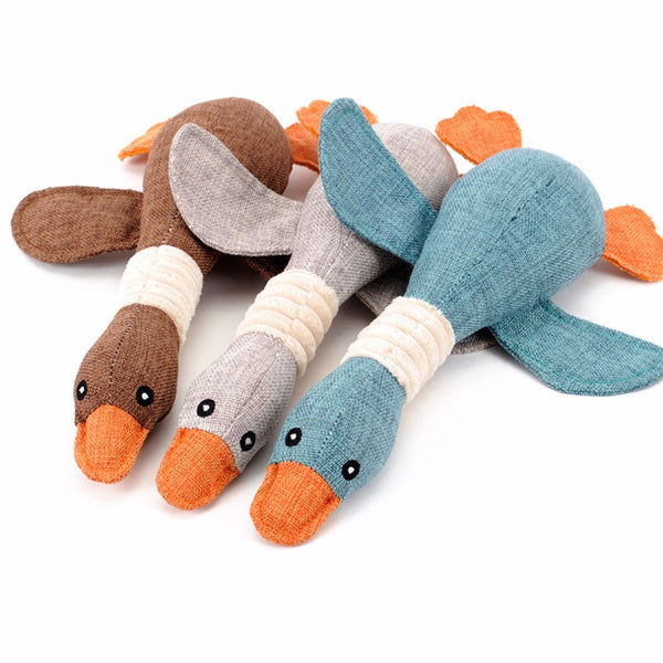 Playing  Sound Pet Toys