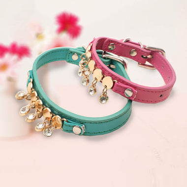 Pet Crystal Necklace