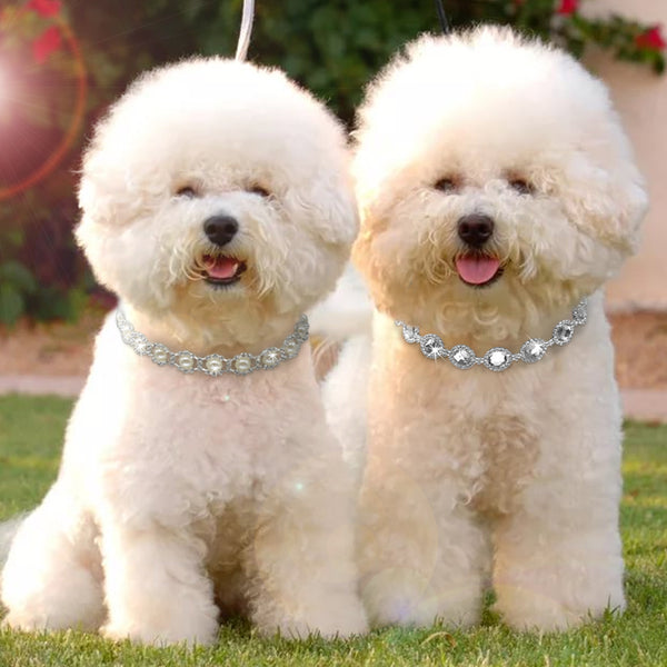 Rhinestone Dog Necklace