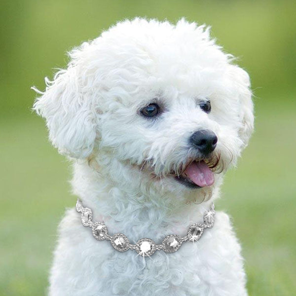 Rhinestone Dog Necklace