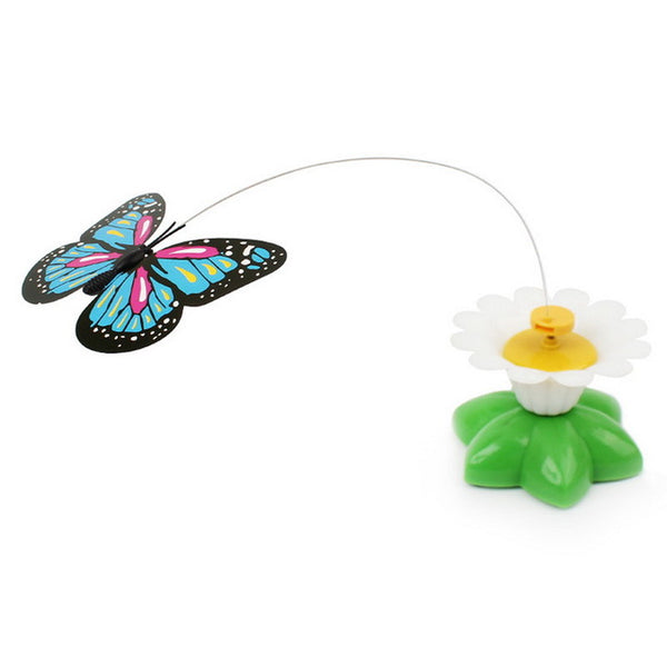 Electric Rotating Scratch Toy